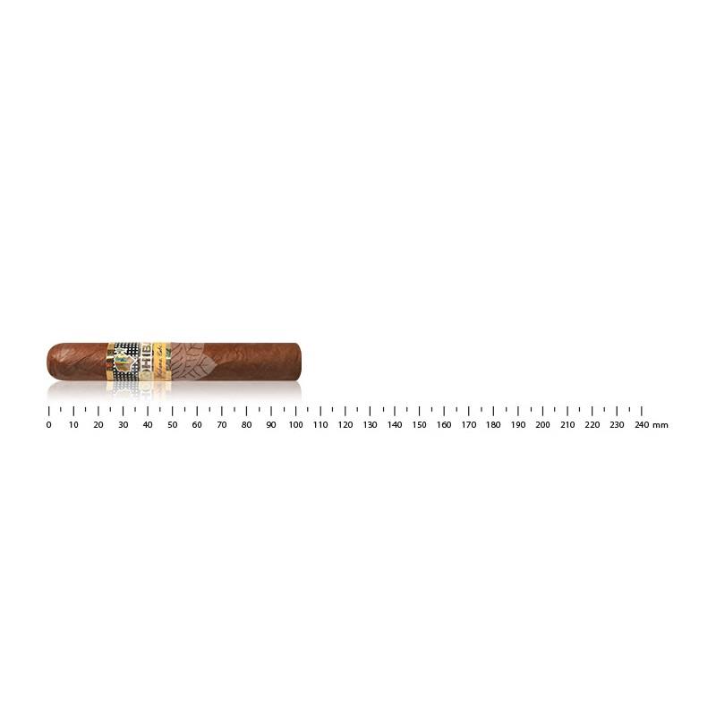 COHIBA SIGLO I AT (3)