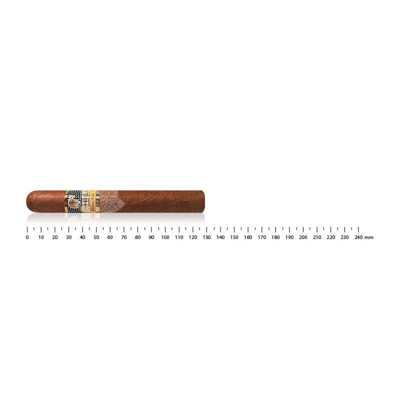 COHIBA SIGLO II (5)