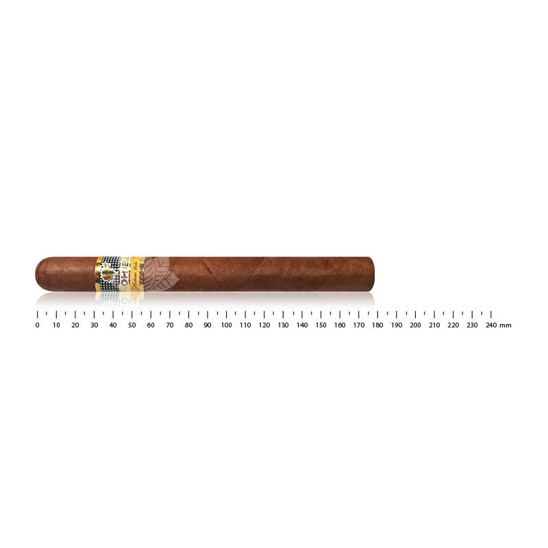 COHIBA ESPLENDIDOS (3)