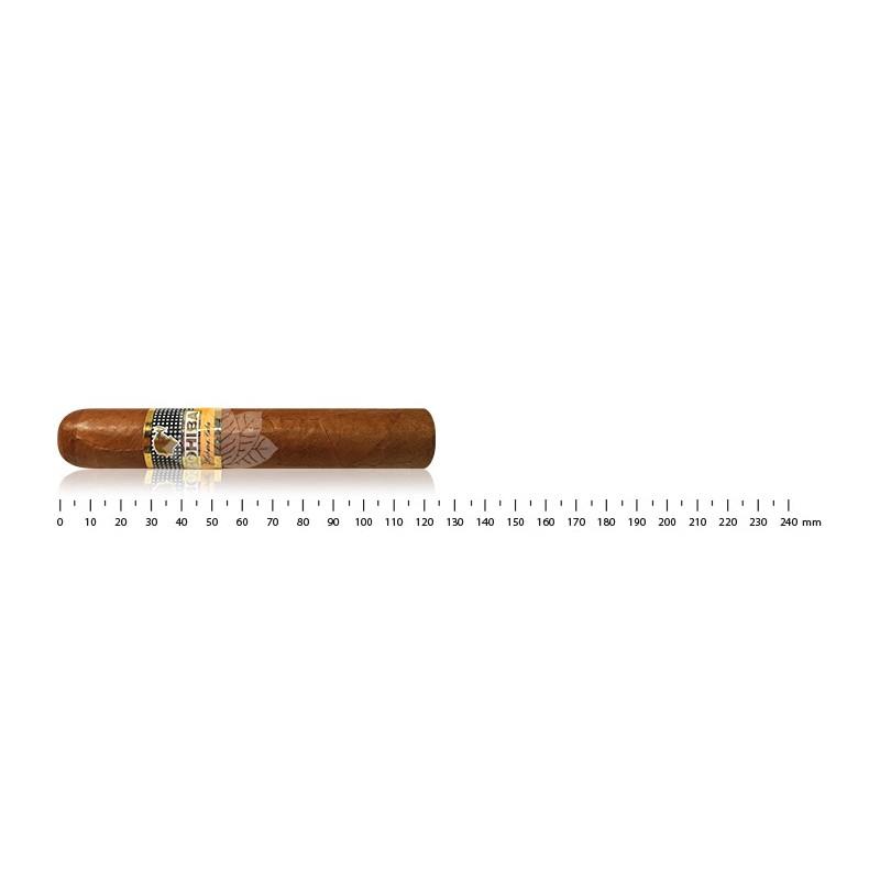 COHIBA ROBUSTO AT (3)