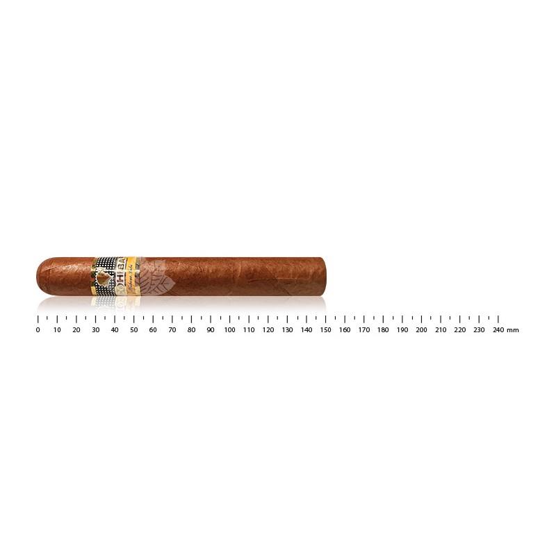 COHIBA SIGLO VI AT (3)