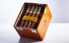 Cohiba - LINEA 1492 Siglo VI 25er K