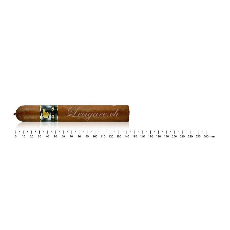 COHIBA BEHIKE 54 (10)