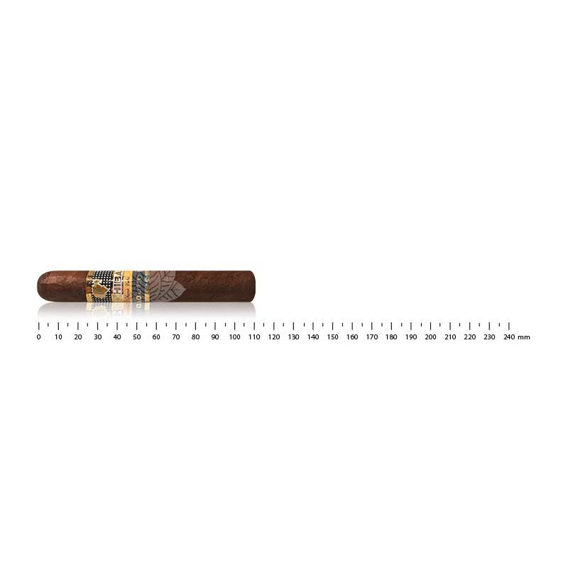 COHIBA SECRETOS (SéRIE MADURO 5)