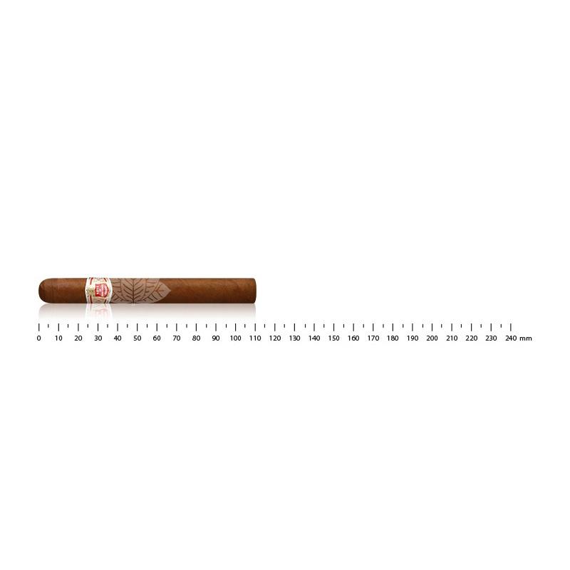 HOYO DE MONTERREY DU MAIRE