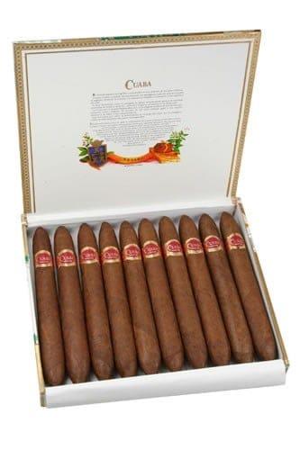 Cuaba Salomon (10)