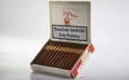 El Rey del Mundo - Demi Tasse 25er 
