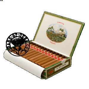 Petit Corona