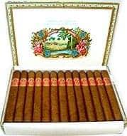 Saint Luis Rey Regios (25)