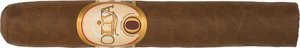 Robusto
