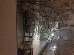 关于雪茄的那些事儿